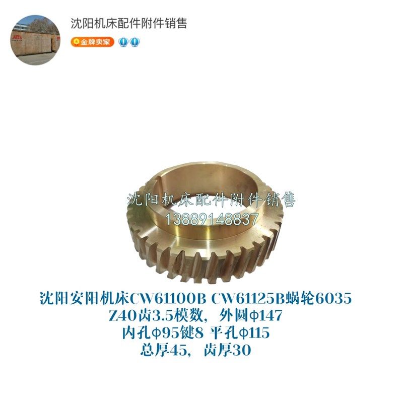 沈阳安阳机床CW61100B CW61125B铜蜗轮蜗杆6035 6057涡轮涡杆 Z40