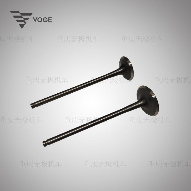 隆鑫无极250RR KE250 Q250原装进气门排气门组合