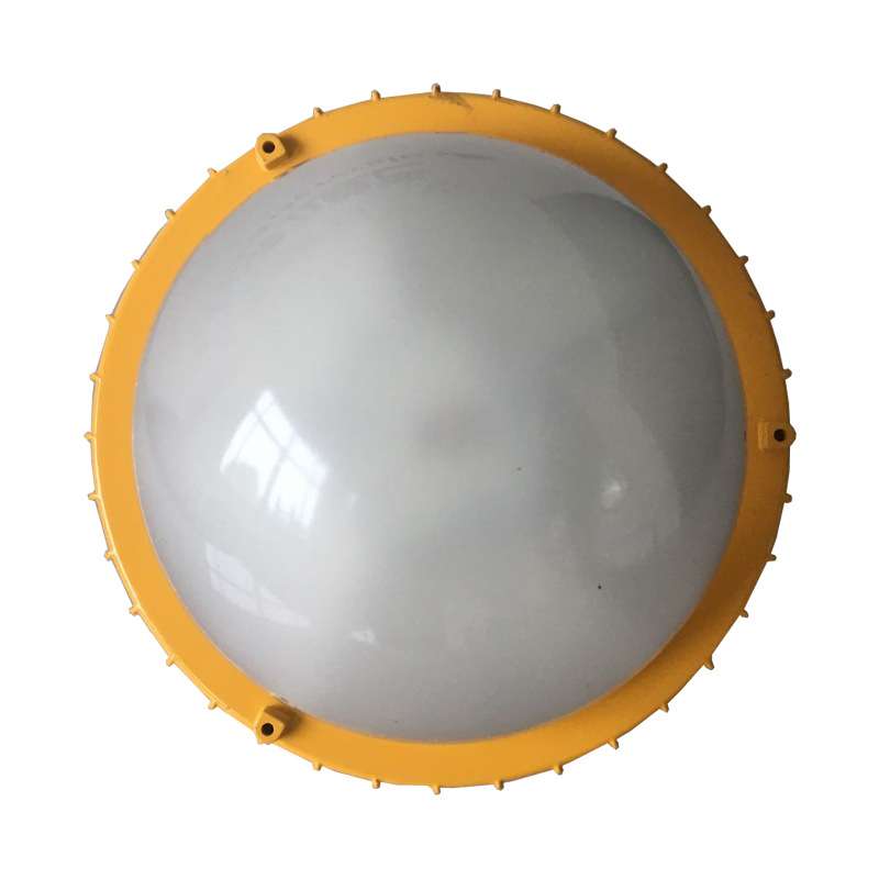 BPC8766 应急LED防爆平台灯防爆垃圾焚烧发电护栏 灯50W