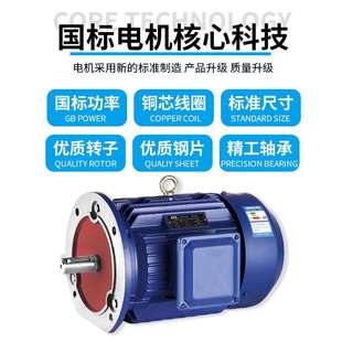 IE3立式 0.55KW 铁壳220V 60HZ 7.5KW三相异步电机 760V50 跨境YE3