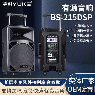 12寸专业有源音箱调音台功放一体内置电池音响户外拉杆演出音箱