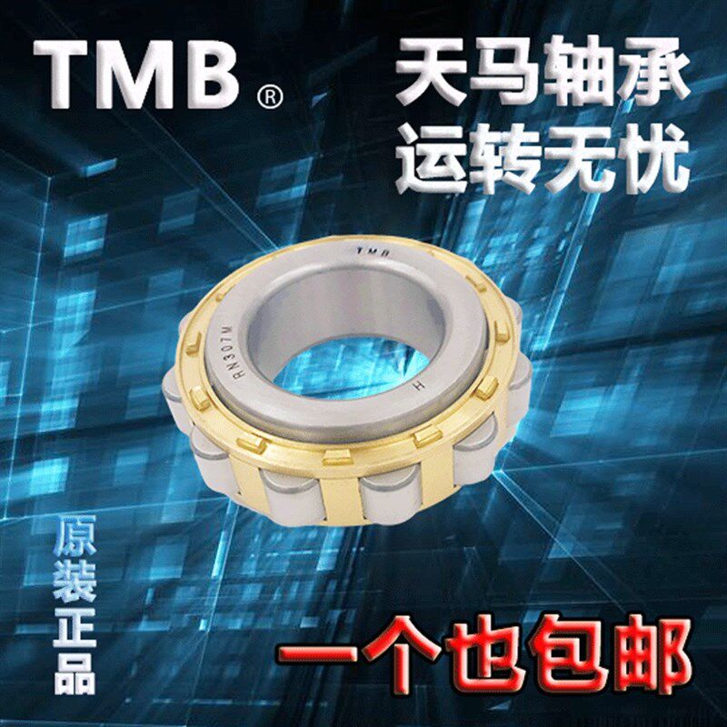 原厂天马减速机专用轴承 RN205 206 307 308 309 312 M C3