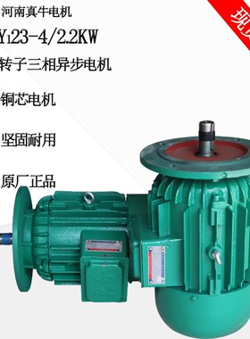 河南真牛电机YEZ112L-4/4.5KW摆线针轮减速机 锥形转子建筑电机