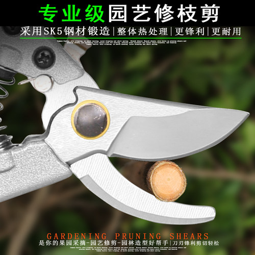 剪枝果树修枝剪刀园艺园林修花枝剪家用强力剪子神器花剪剪枝剪刀