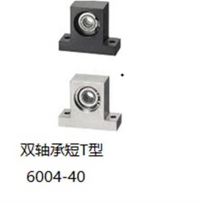 带座轴承座双轴承短T型全系列孔径20 BGMWB6004ZZ-40
