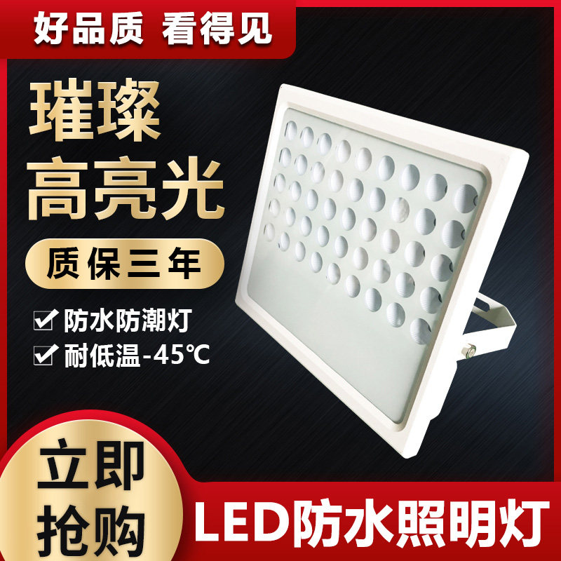 厂房led灯超亮投光灯室外灯照明庭院户外灯防水50w防暴防水冷库灯