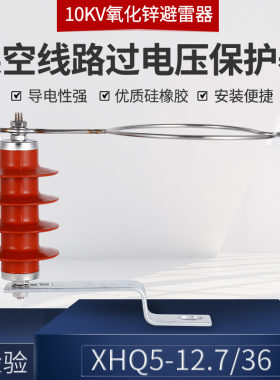10KV高压氧化锌避雷器 XHQ5-12.7/33/36 间隙线路型过电压保护器