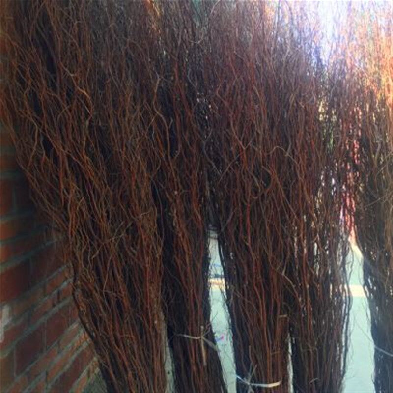 龙柳干枝干树枝树装饰隔断干花婚庆拱门橱窗玄关白干枝天然干枝