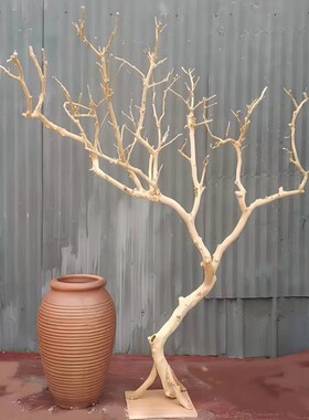 树枝树干装饰仿真去皮树枝造景原木干枝枯树木艺S术造型树杈鸟站