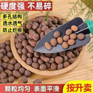 广东厂家直销卫生间回填陶粒轻质建筑粘土工程污水处理陶粒大颗粒