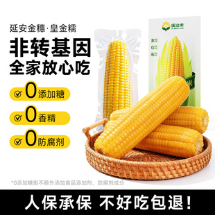 [好物体验专享]延安皇金糯2025年新鲜真空装鲜食玉米加热即食