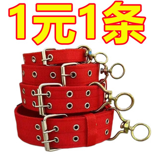 大型犬可调节狗狗项圈狗圈颈圈脖圈中型犬金毛德牧马犬小型犬牵引