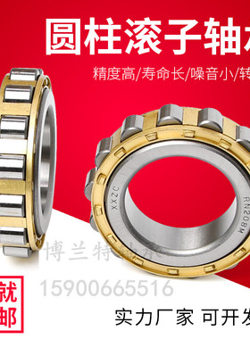 无外圈圆柱滚子轴承RN204M RN205EM 206 207 208 209M