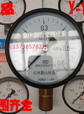正宗杭州鹳山仪表 Y-100 压力表0.6MPa 隔膜压力表表头 直径100mm