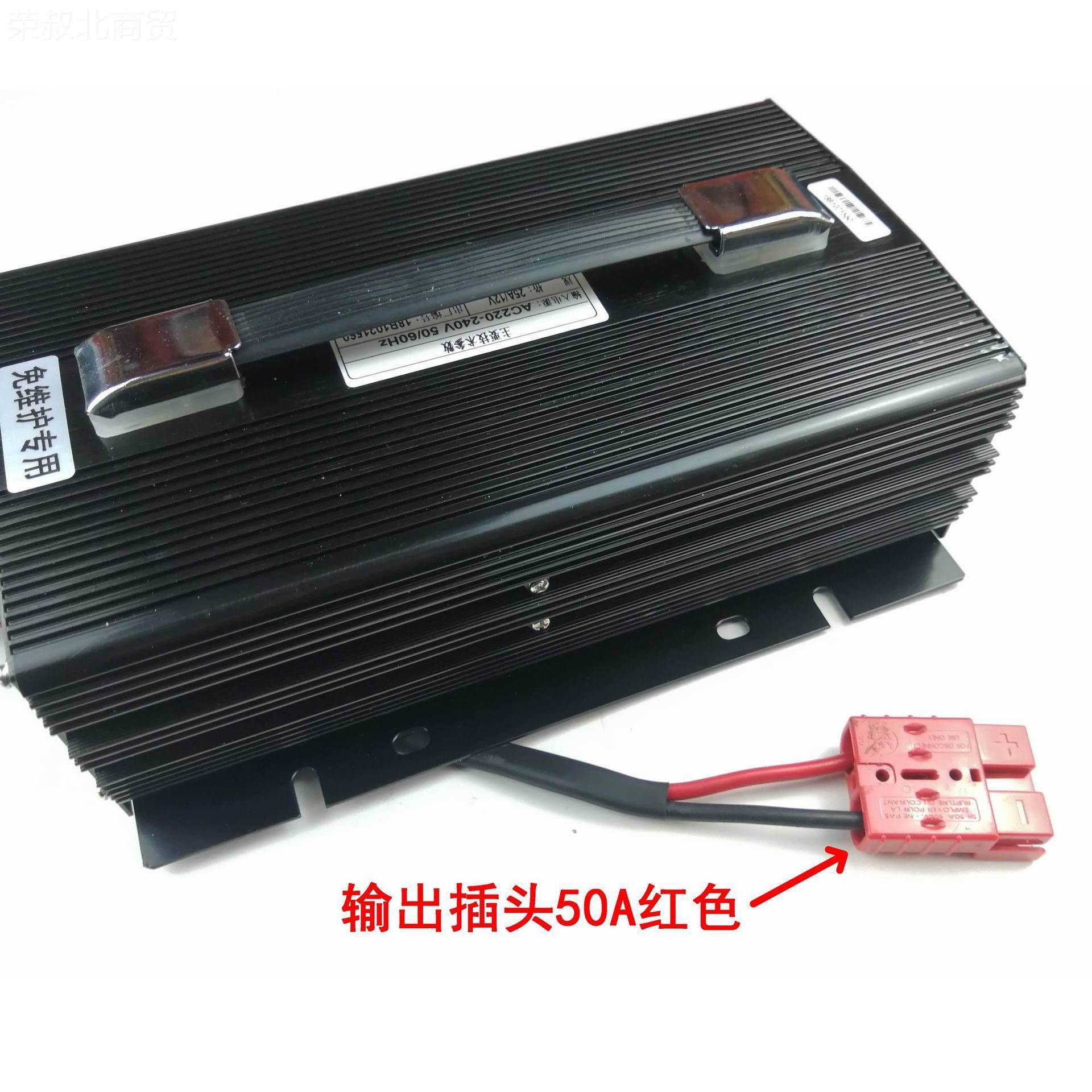 CZC-5A/24V全自动智施能充1电机洗地机7AV车型UCK免维护电瓶充电