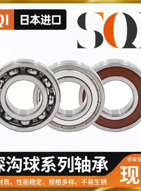 原装进口日本6300 6301 6302 6303 6304 6305ZZ DDU VV RS C3轴承