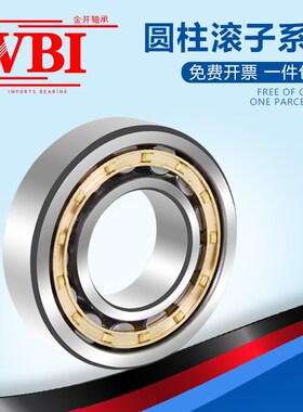 VBI圆柱滚子轴承NU 336 338 340 344 348 352 356 360M