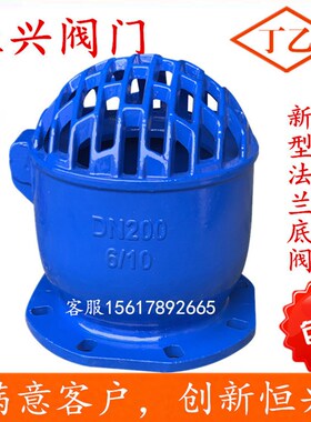 H42X-10/16新型底阀 水泵吸水铸铁法兰底阀DN50  80 100 150 200