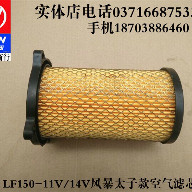 力帆摩托车配件LF150-11V/14V/14P/K19空气滤芯滤清器图片