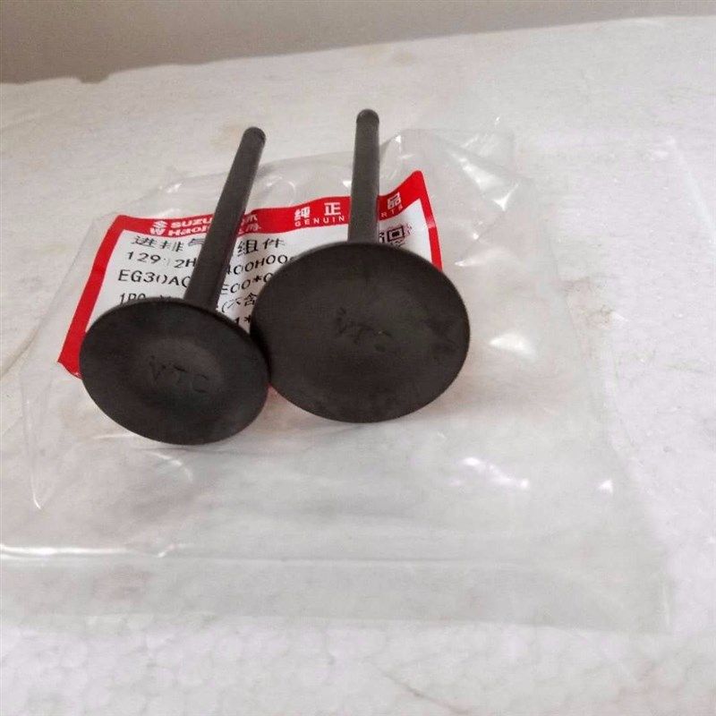 适用铃木锐爽EN125 钻豹HJ125K 美式太子GZ125HS GN125 进排气门
