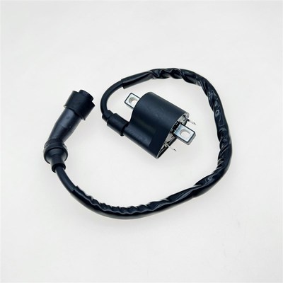 适用于龙佳Lj300 Vmaxie300维多利亚150 Xdv250Si高压封装点火线