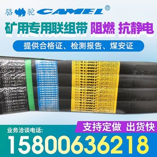 5380 SPC5600 上海骆驼牌煤矿专用联组带阻燃抗静电8V5080