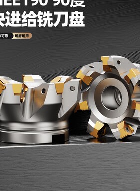 MEE190快进给双面铣刀盘90度方肩飞刀盘通装金鹭山高XNEX080608