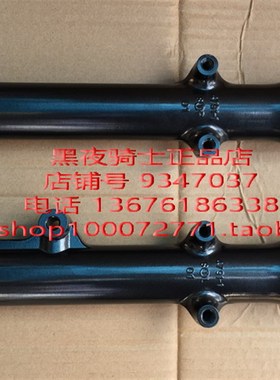 适用 铃木锐爽 EN1253E/3F EN150A 黑色 碟刹 前减震 避震 前叉