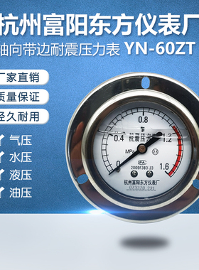 杭州富阳东方YN-60ZT轴向带边抗振耐震型压力表水气油液压表III型