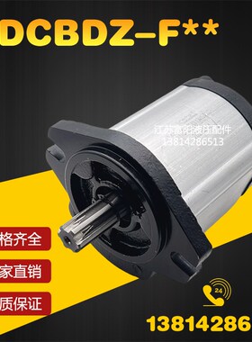 Ketai齿轮泵6花键HDCBDZ-F14AL12H1-BB/F10/F16/F20/F25/F28/F30