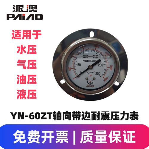 JIANLONG派澳仪表YN60ZT  250KG轴向带边耐震压力表油压表液压表