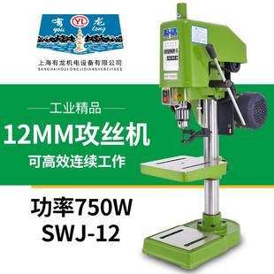 有龙攻丝机大功率重型工业攻牙丝攻机电动SWJ 钻攻攻两用铜 12台式