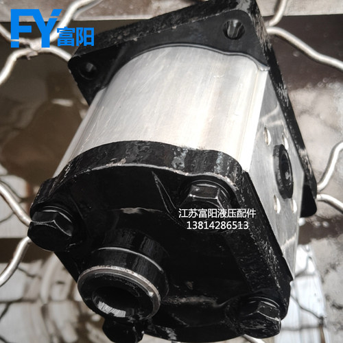 齿轮泵 液压油泵CBN-E310L CBN-E306L CBN-E320L E314L CBN-E316L