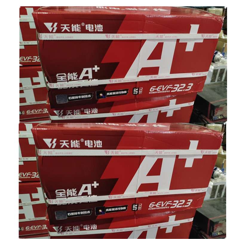 60伏32安 铅酸蓄电池（5只装）12V32Ah 6-EVF-32三轮车电瓶 武汉