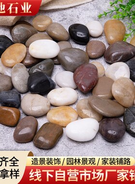 鹅卵石铺路造景雨花石庭院装饰抛光五彩石花盆鱼缸水池垫底雨花石