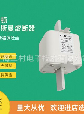 全新原装快速熔断器保险丝170M6140 170M6141 170M6142 170M6143