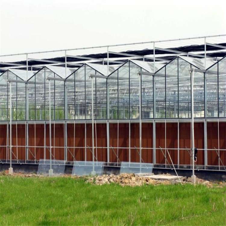 新型连栋实用型pc板玻璃温室大棚全自动控制钢管骨架设计智能温室