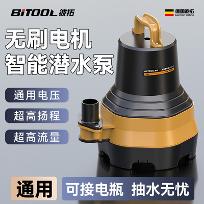 电动电瓶车专用抽水泵通用直流潜水泵24V48V60V72V浇菜农用非12V