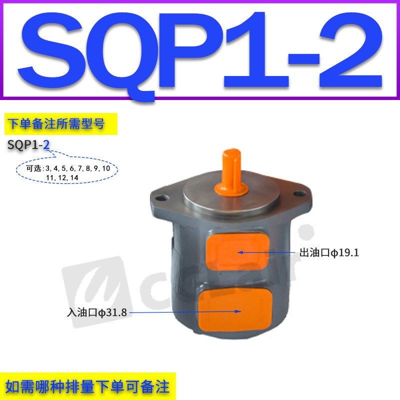 叶片泵20V8A10A14A17A19A25V21A25A30A35V45A3520V4520V3525V4525