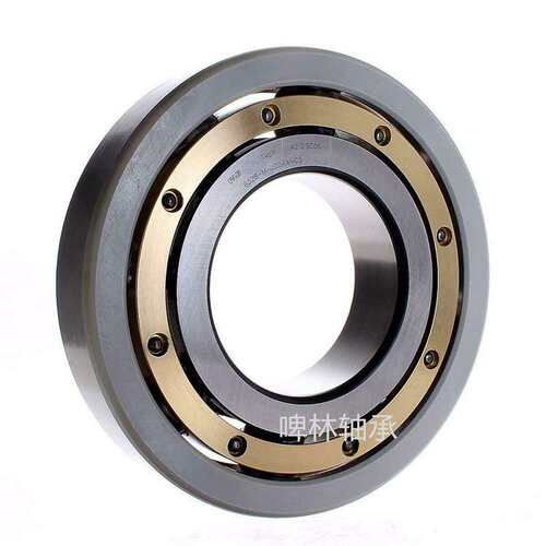 德国FAG 6310-M-J20AA-C3外圈绝缘轴承 尺寸50X110X27mm
