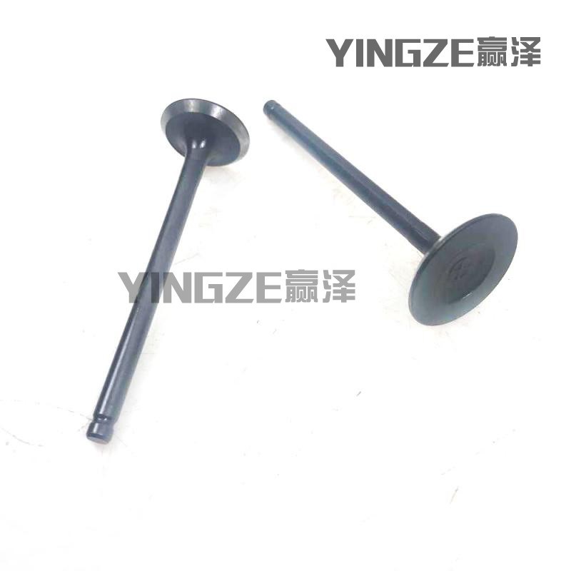 王野劲隆沙滩车卡丁车农夫车GY6 200CC发动机配件气缸头气门
