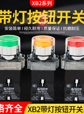自复位带灯按钮开关XB2-BW3361C红绿黄色银点XB2-BW3462C常开常闭