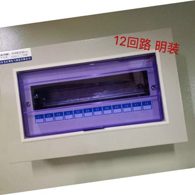 华而美  模数化终端组合电器PZ30-12回路箱 配电箱 明装  经济型