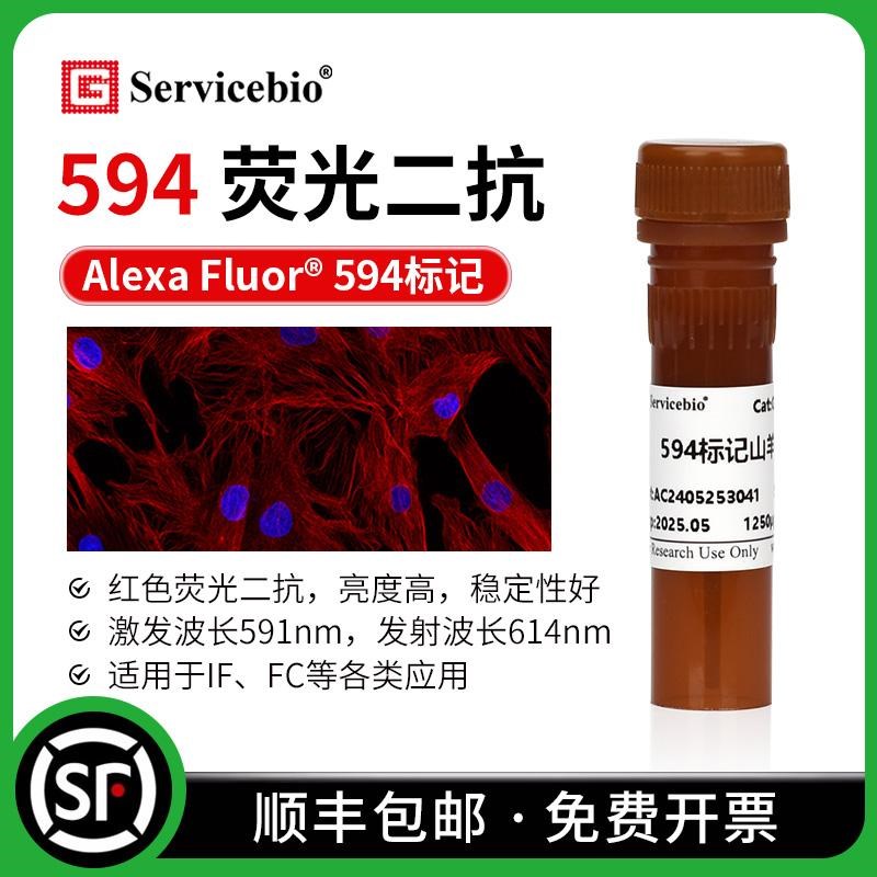Alexa Fluor 594标记 红色荧光二抗 小鼠 兔IgG (H+L) IF FC实验
