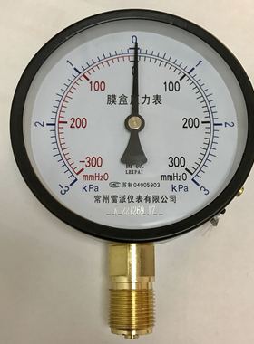 +-3kpa +-300mmh2o 膜盒压力表 YZE-100 直径100mm 螺纹m20x1.5