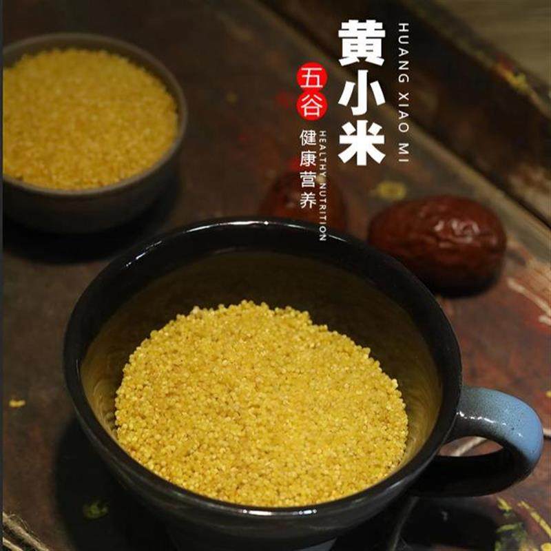 2024年陕北米脂小米新米正宗黄小米5斤产地直销陕西特产年货新年