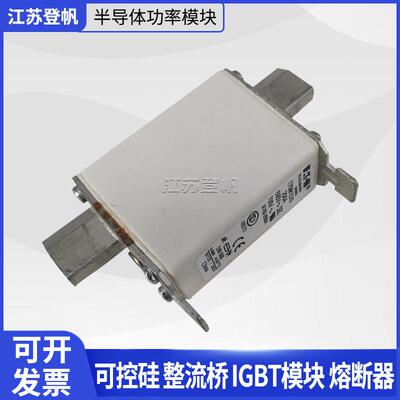 巴斯曼熔断器170M1570 170M1571 170M1810 170M1830 170M2682全新