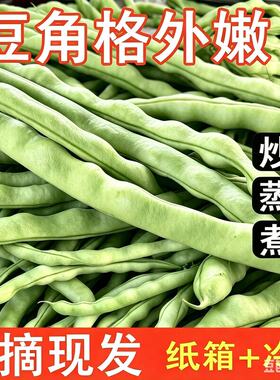 贵州农家自种新鲜四季豆棒豆芸豆时令现摘蔬菜