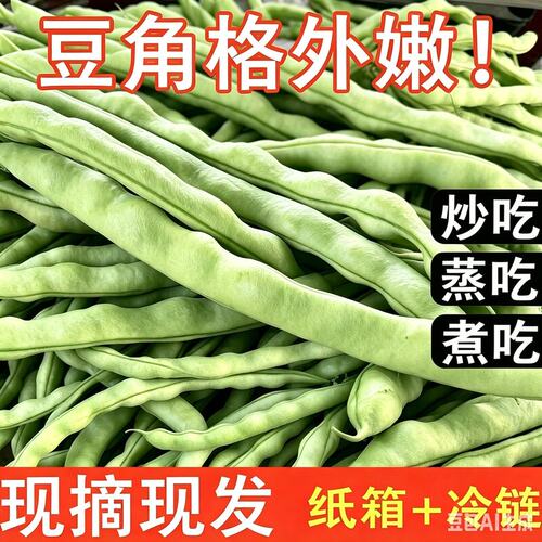 贵州农家自种新鲜四季豆棒豆芸豆时令现摘蔬菜