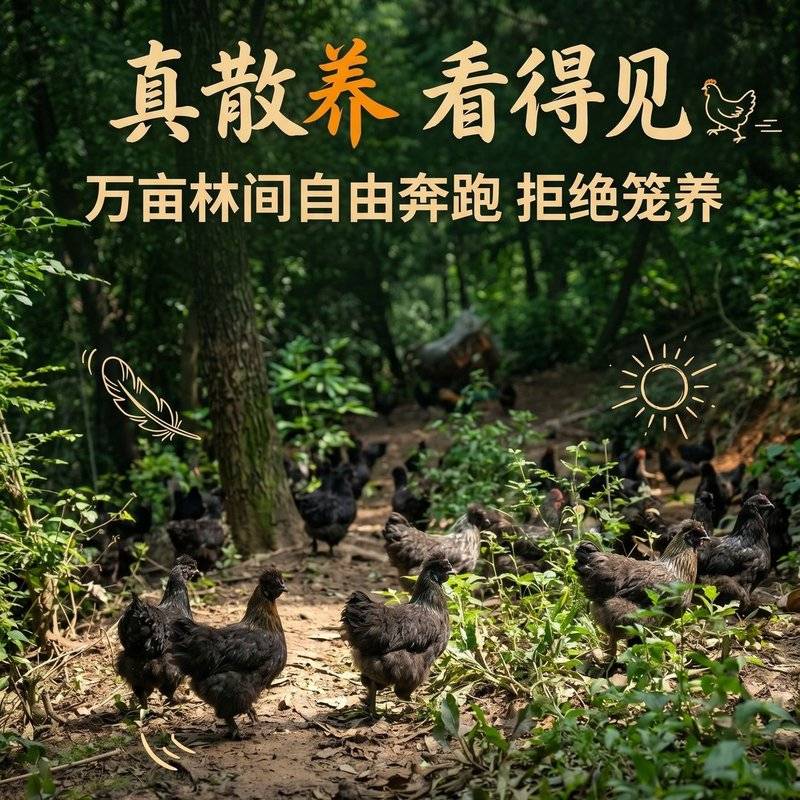 拍30送20贵州长顺绿壳土鸡蛋农家散乌鸡玉米五谷喂鲜鸡蛋